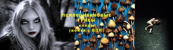 PSILOCYBIN Богородск